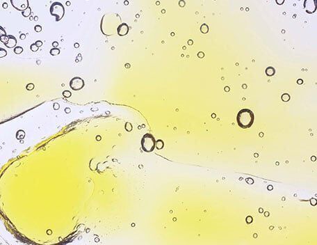Paraben Free