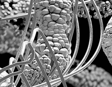 Aerated silica