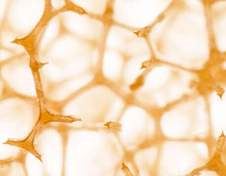 Aerated silica