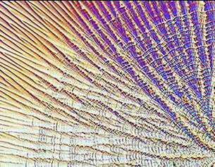 Aerated silica