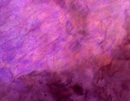 Aerated silica