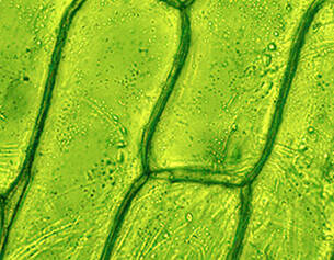 Aerated silica