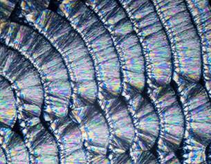 Aerated silica
