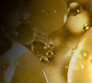 Ferulic Acid Hero Banner