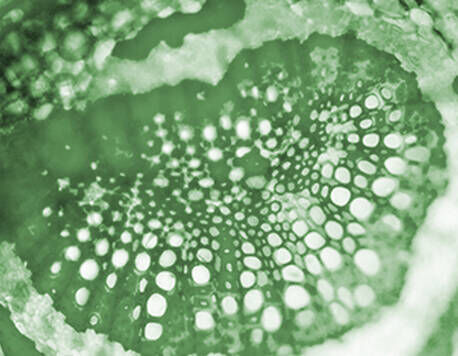 Aerated silica