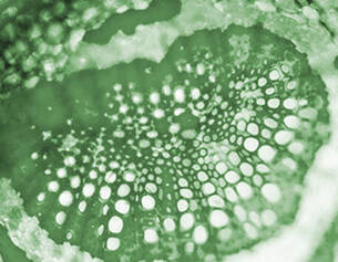 Aerated silica