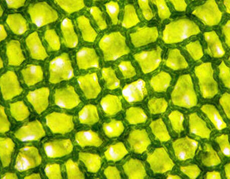 Aerated silica