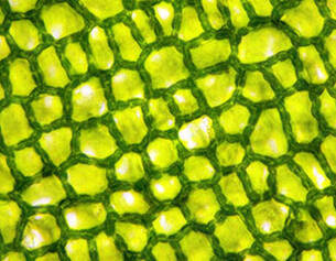 Aerated silica