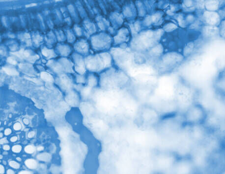 Aerated silica