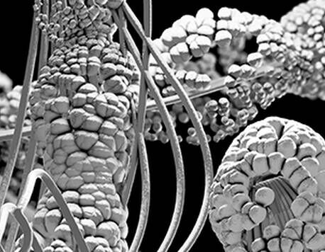 Aerated silica