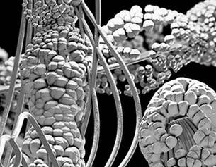 Aerated silica