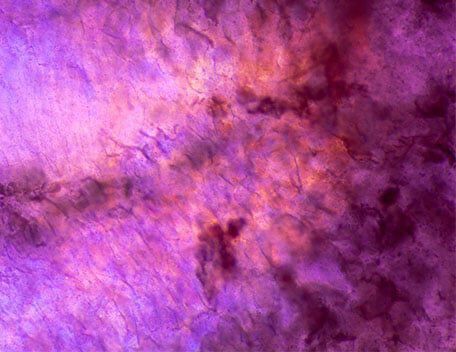 Paraben Free