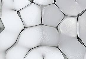 Paraben Free
